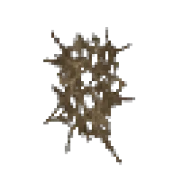 斯卡拉克唾液團塊