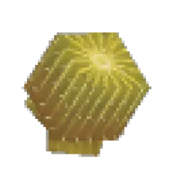 仙人掌 – 球體