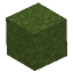 深綠色苔蘚方塊