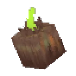 洋蔥球莖（永恆）