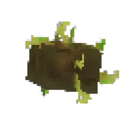 馬鈴薯嫩芽 (永恆)