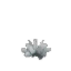 原型 – 白仙人掌花