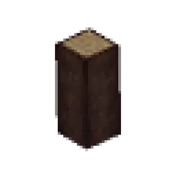 白蠟樹枝 – 長