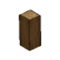 山毛櫸枝 – 長