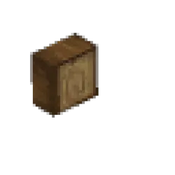 山毛櫸枝 – 短