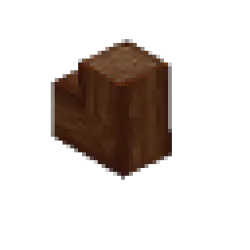 雪松枝條 – 角落