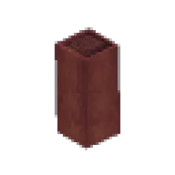 藍無花果枝 – 長