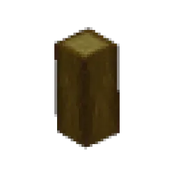 黃楊枝條 – 長